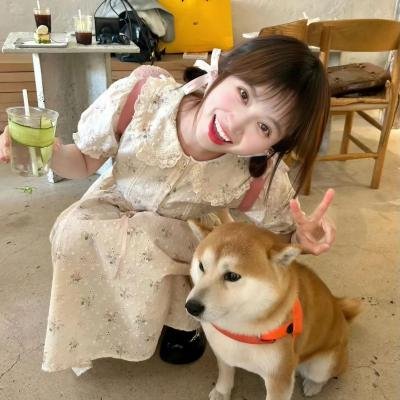 如意2012